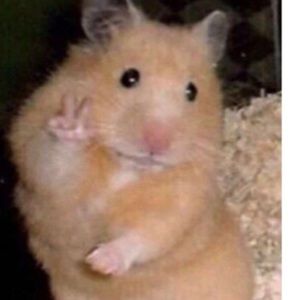 Meet your Posher, Yosellyn